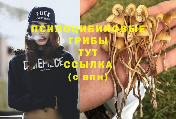 гидра Нефтегорск