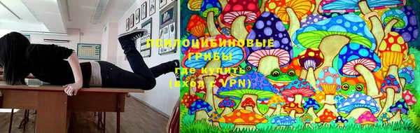 скорость mdpv Белокуриха